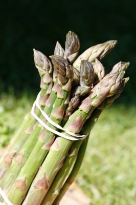 asparagus