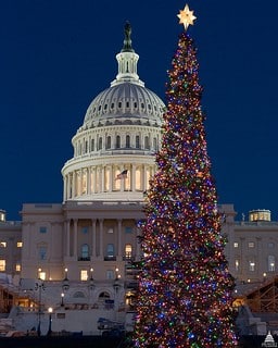 congressxmastree