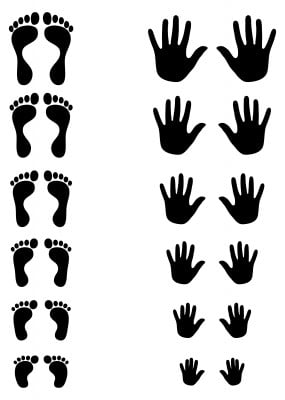 handsfeet