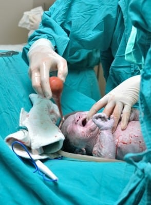 newborn